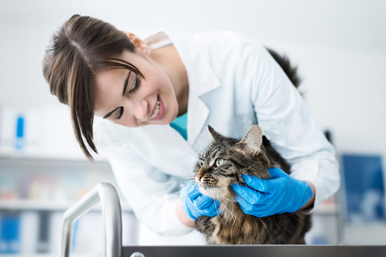 Veterinary Services